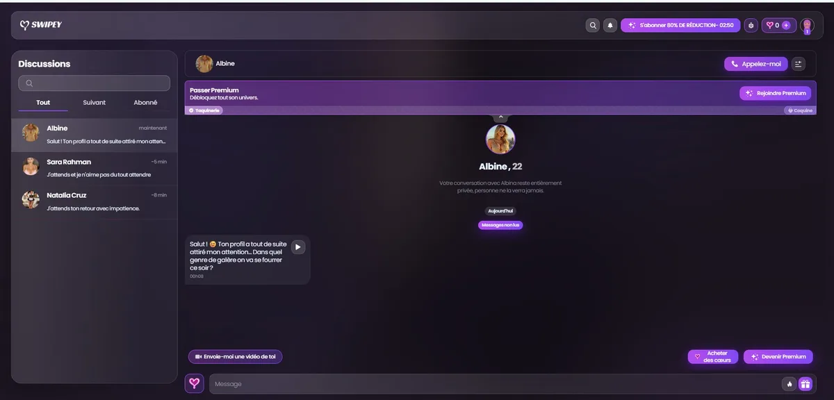 Swipey AI review — chat interface in English